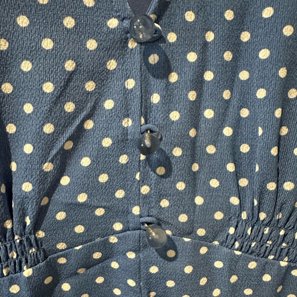 Kate Spade Cornflower Blue Tea Garden Toss Poplin Fit and Flare Dress - Picture 6 of 16